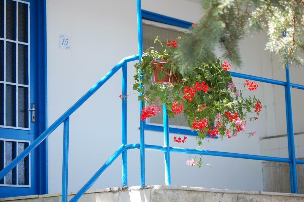 Комплекс Белите Къщи Shtarkelovo Gnezdo Εξωτερικό φωτογραφία