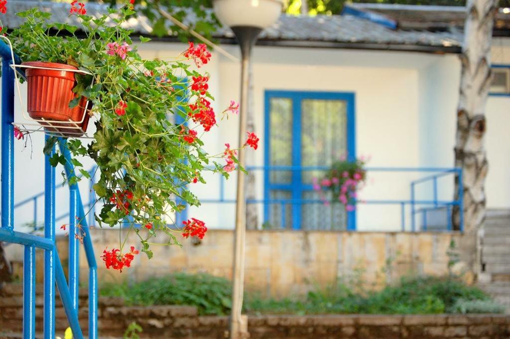 Комплекс Белите Къщи Shtarkelovo Gnezdo Εξωτερικό φωτογραφία