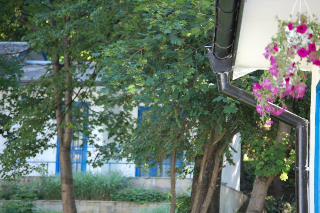 Комплекс Белите Къщи Shtarkelovo Gnezdo Εξωτερικό φωτογραφία
